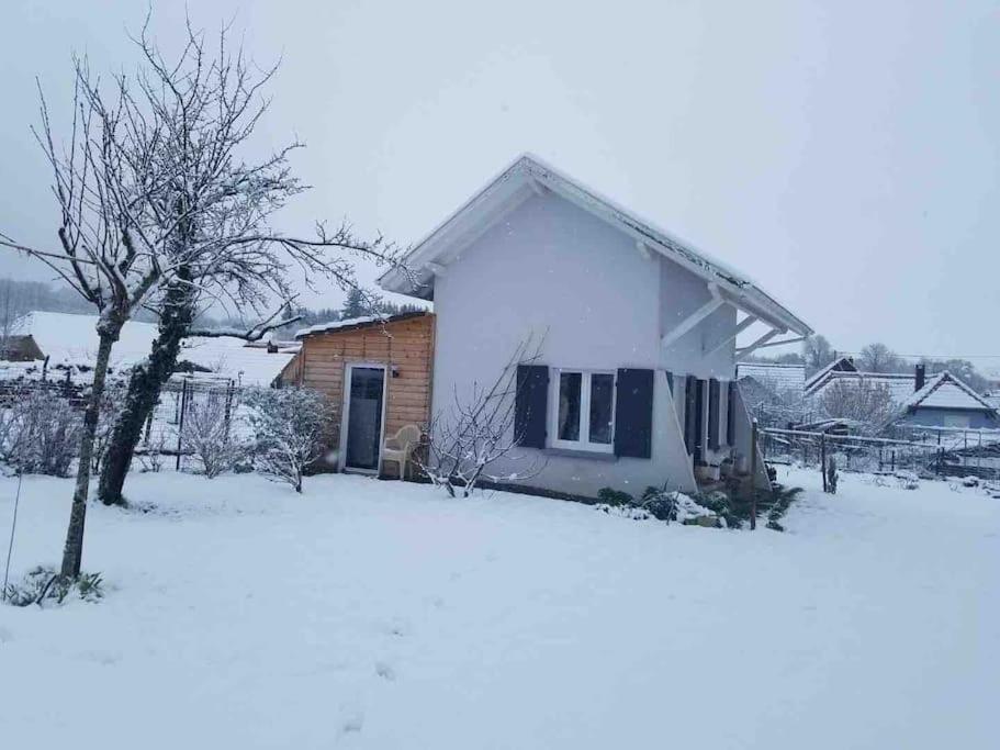 Gite Le Charmot, Au Pied Des Montagnes Classe 3* Roderen Exteriér fotografie