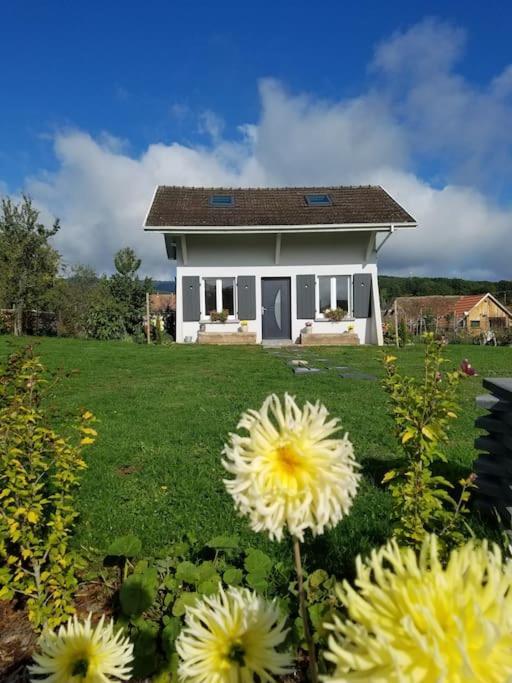 Gite Le Charmot, Au Pied Des Montagnes Classe 3* Roderen Exteriér fotografie