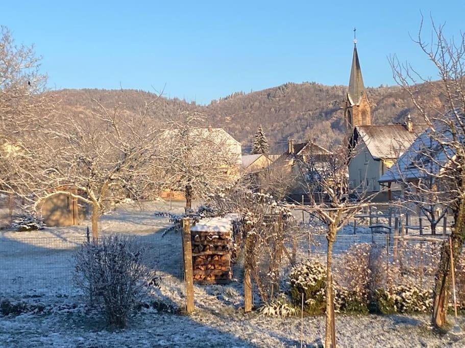 Gite Le Charmot, Au Pied Des Montagnes Classe 3* Roderen Exteriér fotografie