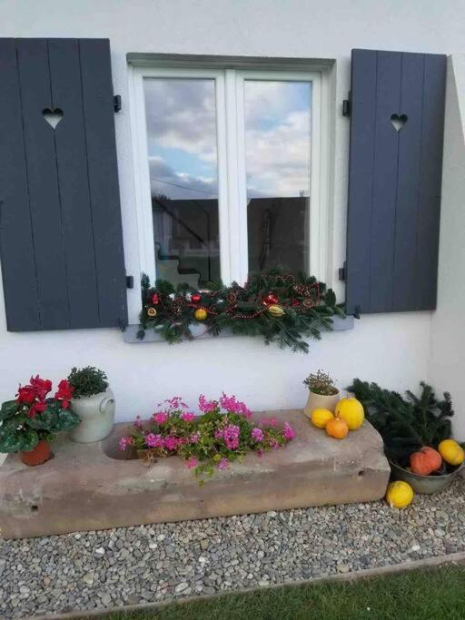 Gite Le Charmot, Au Pied Des Montagnes Classe 3* Roderen Exteriér fotografie