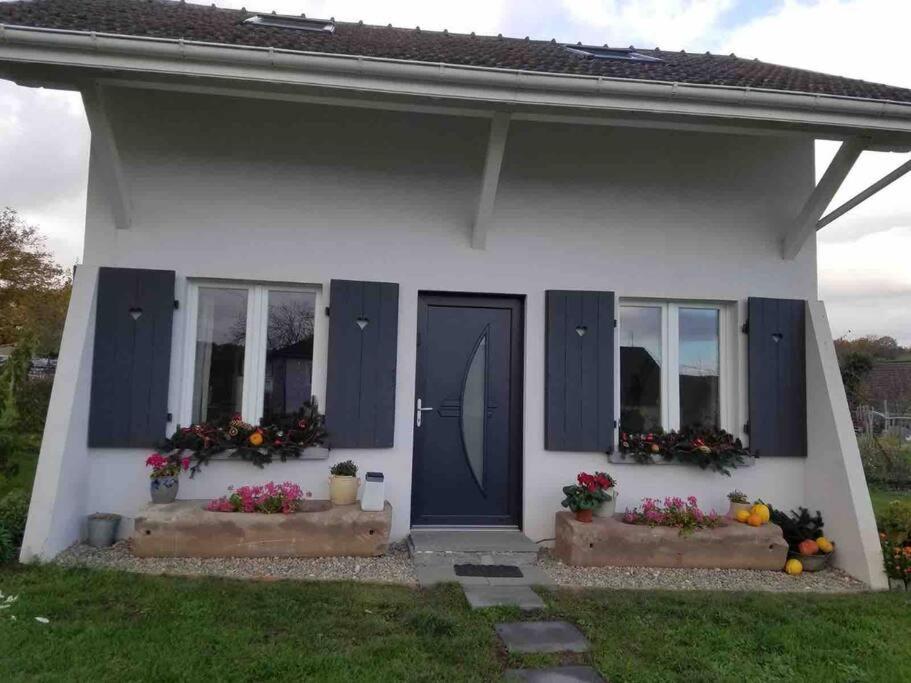 Gite Le Charmot, Au Pied Des Montagnes Classe 3* Roderen Exteriér fotografie